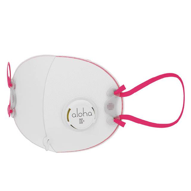 AF002V 방진마스크 특급 일반 (10개입)