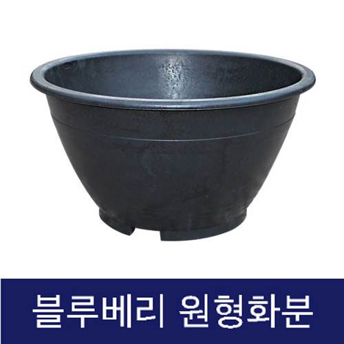 고무다라 원형화분 (블루베리)
									840Φ*H460